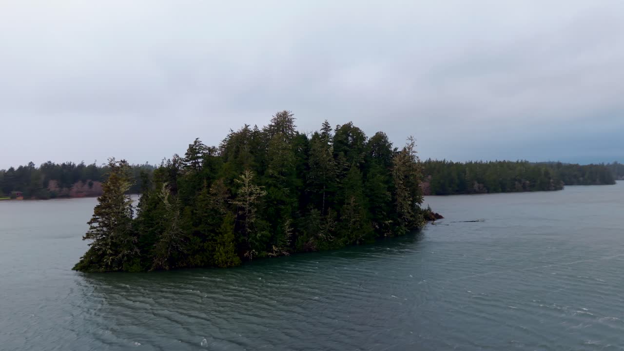 tomada de drone de tofino en la isla de vancouver que muestra colores de otoño, costa escarpada y olas del océano en una vista aérea panorámica.