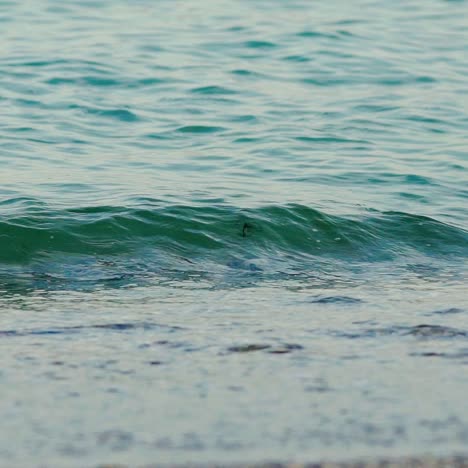 sea waves on sand beach. slow motion