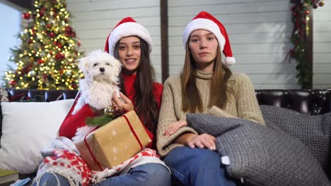 dos amigos celebrando navidad con un perro
