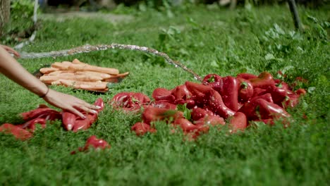 Side-view-of-unrecognizable-woman-watering-red-peppers-on-green-grass