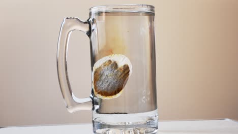 dropping teabag in the big glass mug