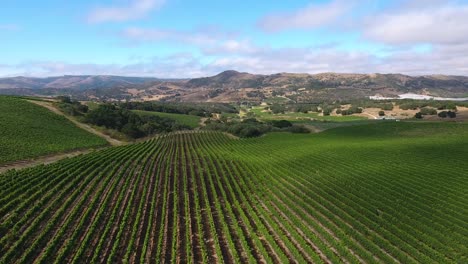 Hermosa-Antena-De-Viñedos-Montañosos-En-La-Región-Vitivinícola-De-Californias-Denominación-Santa-Rita-7