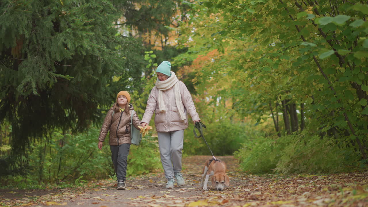 mother and daughter wearing cozy jackets and knit hats walk hand in hand along forest trail, holding autumn leaves and chatting while dog sniffs ground ahead through vibrant fall foliage