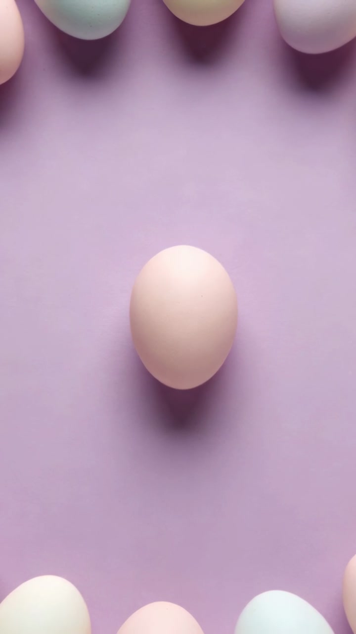 Clip starting pastel eggs framing core pale pink egg centered on matte purple, light casting shadow