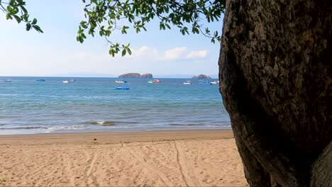 Tropical-sandy-beach-with-an-old-tree,-waves-on-a-sunny-day,-Coco-Beach-in-Guanacaste,-Costa-Rica