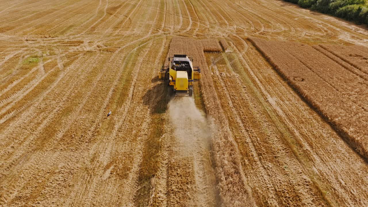 Aerial shot of combine in golden field as metaphor for food scarcity and change