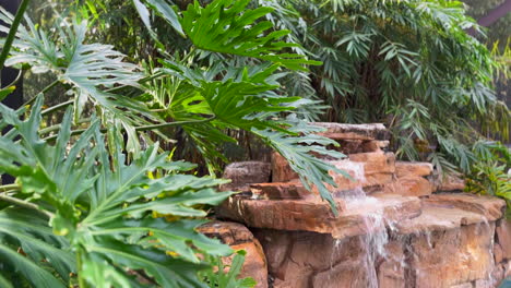 Swimming-pool-waterfall-with-cascading-water-surrounded-by-tropical-trees-and-plants