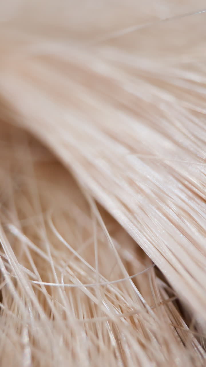Artificial blonde hair wig with long locks zoom in extreme closeup. Synthetic material for design artwork and craft macro. Hairstylist supplies and materials