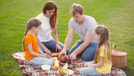 Padres-Felices-Con-Dos-Hijas-Pequeñas-Haciendo-Un-Picnic-Juntos-En-Un-Prado-Verde-En-El-Parque-1