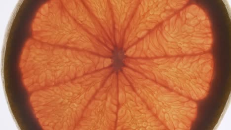 rotación de una rebanada transparente de pomelo sobre un fondo blanco.