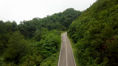 empty road without trip car endless 2 way asphalt straight curved highway freeway in daytime at sunrise early morning in europe rising aerial 4k pine broad leaves forest green landscape move up