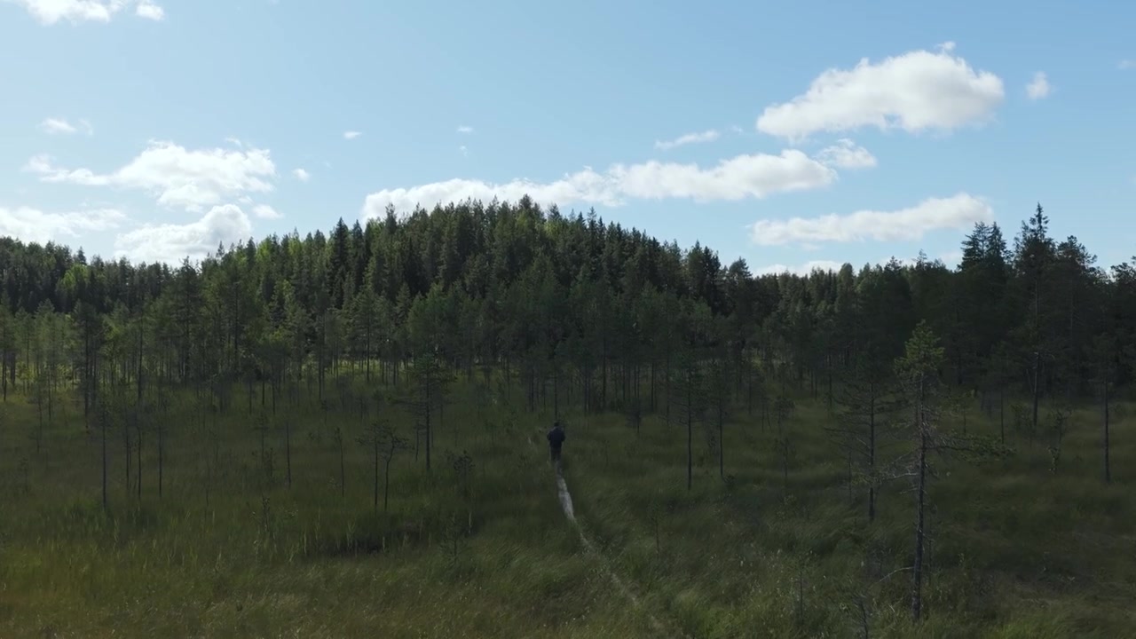 Aerial view of a hiker walking on a wooden duckboard trail in Koli National Park