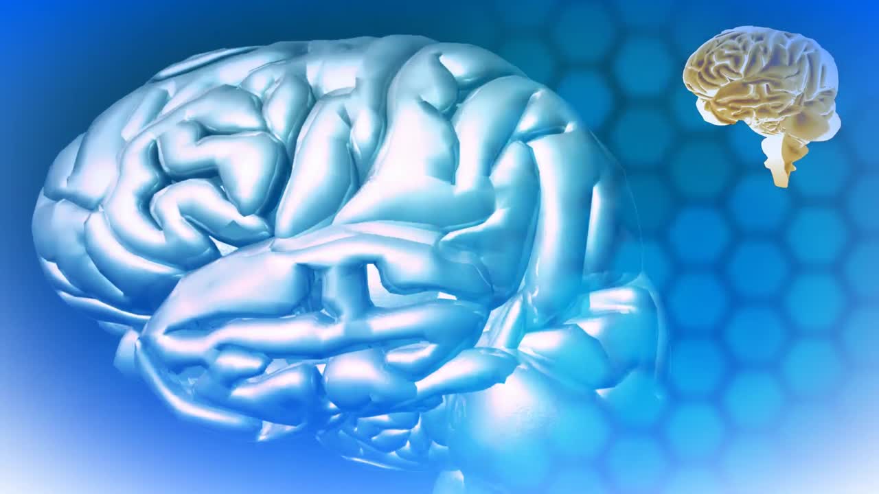 3d 추상적인 뇌