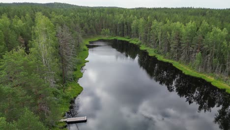 aerial descends through thick green forest to tiny moss lined lake