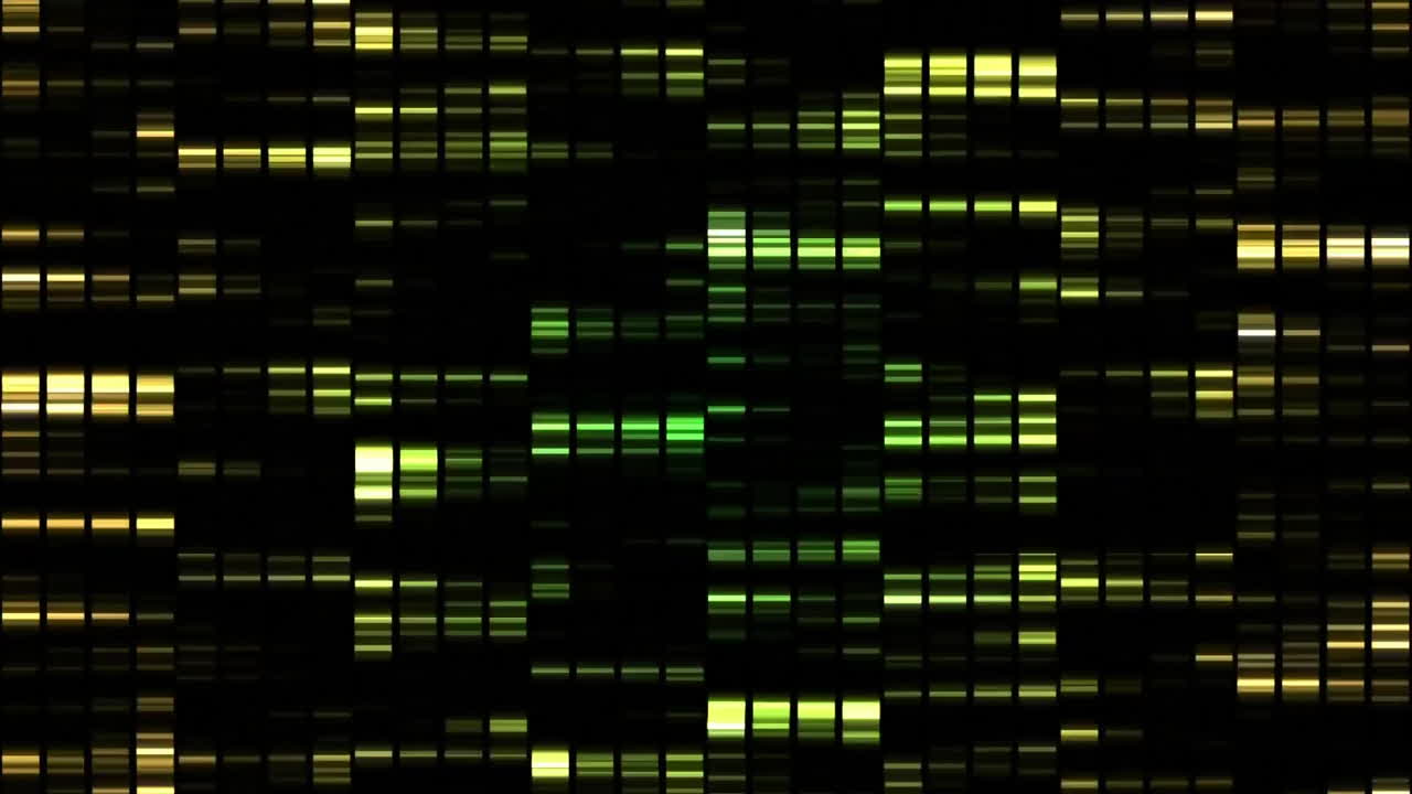 animación del procesamiento de datos digitales sobre un fondo negro