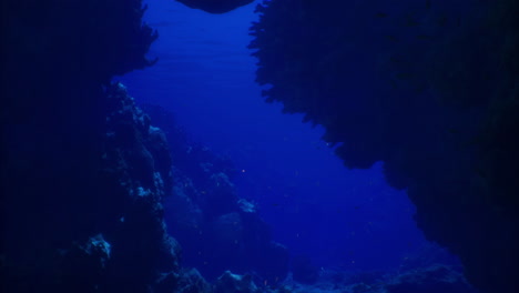 Underwater view of coral formations and deep blue ocean water