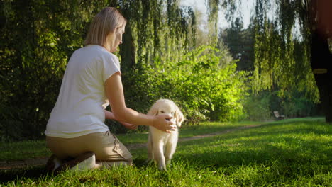 Glücklicher-Golden-Retriever-Welpe-Rennt-Zu-Seinem-Besitzer.