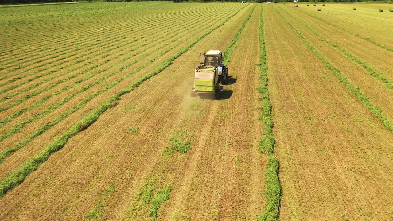 Lavori agricoli sul campo in una giornata di sole. Trattore che raccoglie l'erba secca sullo sfondo verde naturale all'aperto.