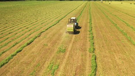 agricultural works on the field in a sunny day. tractor gathering dry grass on the natural green background outdoors.