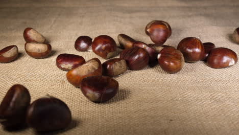 chestnuts falling on jute canvas background