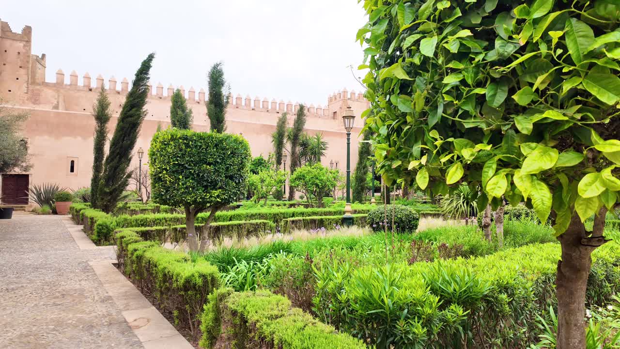 Andalusian gardens in Rabat, Morocco, exotic tree and plants riad
