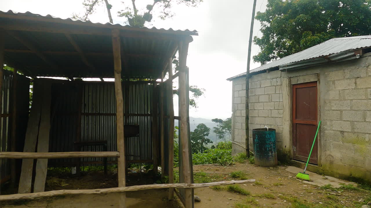 disparo lateral de un auto pov en el campo de la república dominicana, paisaje forestal, día