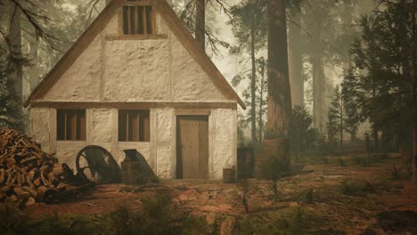 old wooden house in the autumn forest