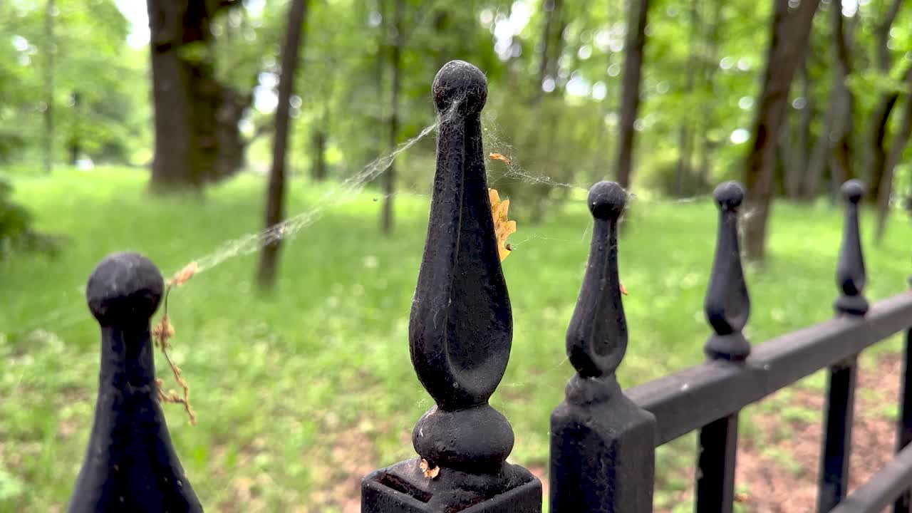 Antique wrought iron fence in a spider web for Halloween (4K 60, in motion)