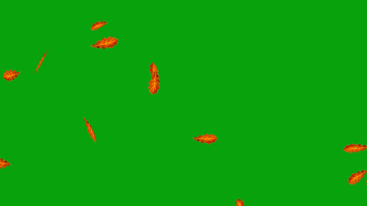 녹색 화면 배경으로 오크 잎이 떨어지는 모션 그래픽