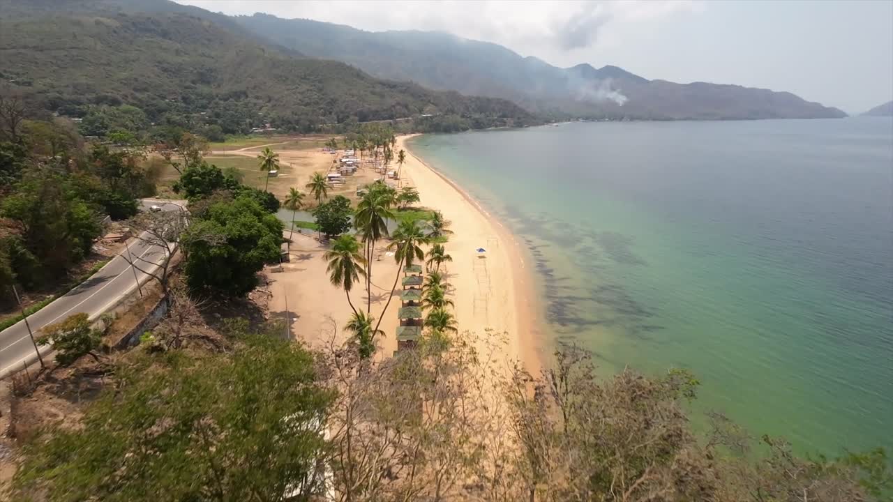 Aerial view of Arapito Beach with palm trees and calm Caribbean waters