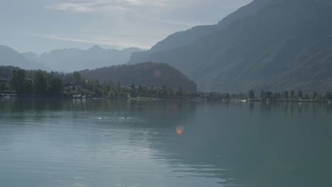 two ducks washing themselves in perfect view of scenic harbor | rural european mountainside with great lake