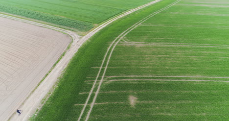 vista aérea campo fresco cultivado