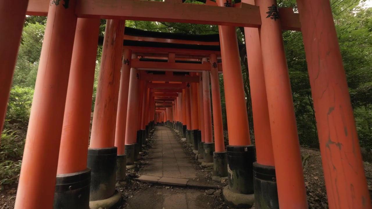 Chemin vide à travers les portes torii vermillon du Fushimi Inari Taisha à Kyoto, Japon.