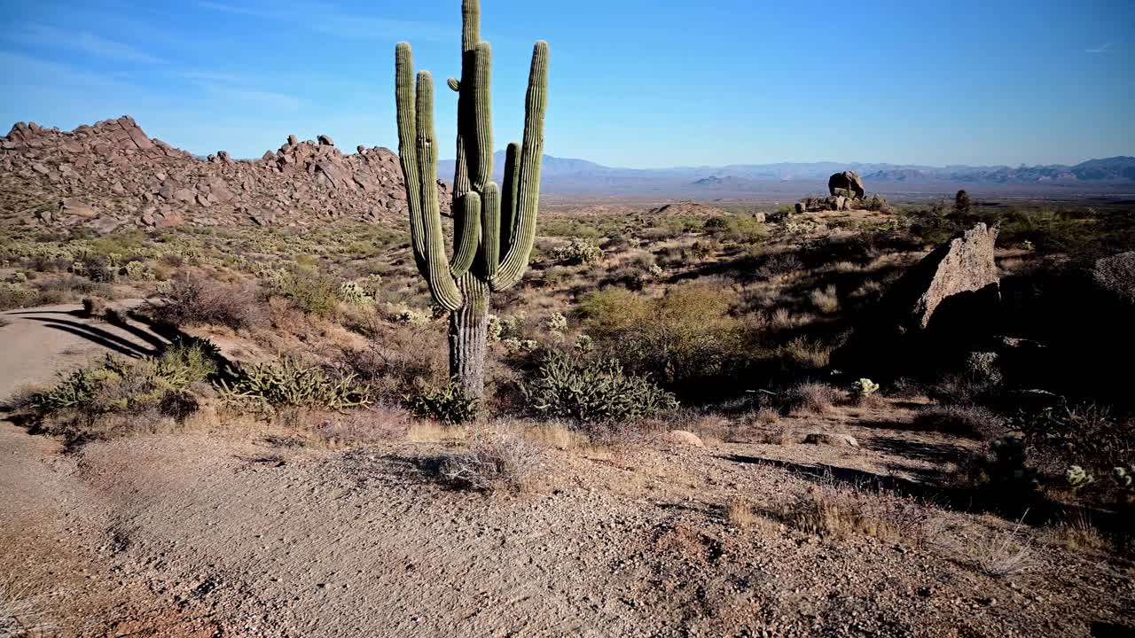 mujer corriendo por el sendero del desierto