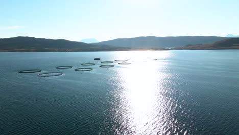 Long-aerial-shot-of-salmon-pens-on-aquafarm