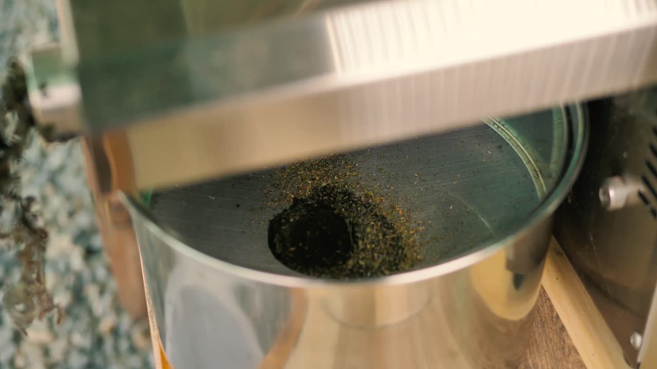 Organic oil press machine producing oil from seeds