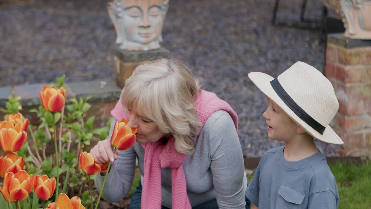 Grandmother and grandson smelling tulips in garden
