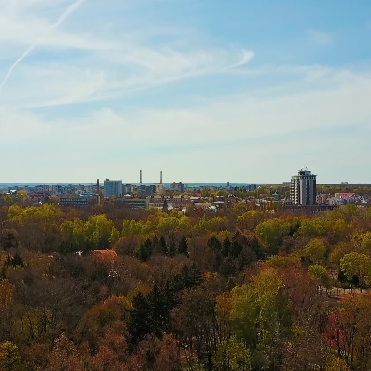 Aerial view of city park