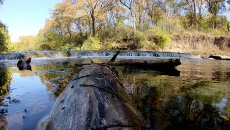 sitting on top of a piece of driftwood in the middle of the creek, panning left across waterfall in the background