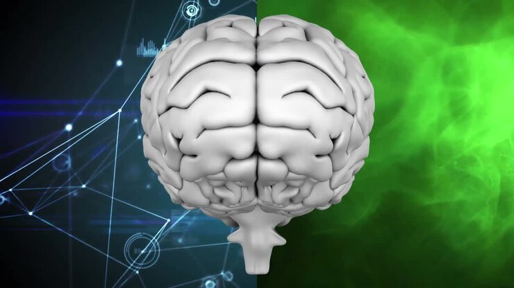 Human brain against background divided in two