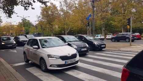 cars starting engines and driving off at intersection on an overcast spring day. trees of tasmajdan park in the background, belgrade, serbia