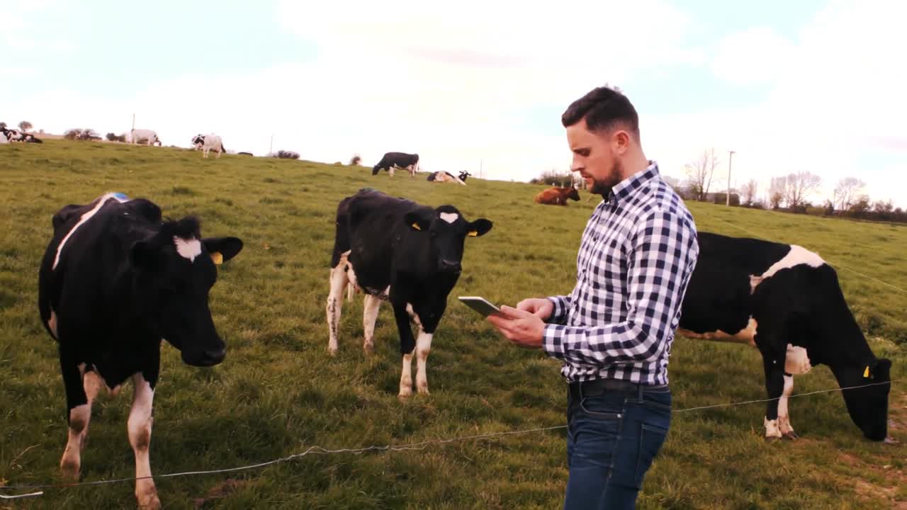 hombre usando una tableta digital
