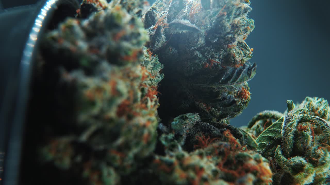 A vertical macro close-up cinematic shot of a cannabis plant, hybrid strains, Indica and sativa ,marijuana flower, on a 360 rotating stand in a shiny bowl, slow motion, 4K Video