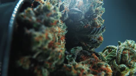 Eine-Vertikale-Makro-Nahaufnahme-Einer-Cannabispflanze,-Hybridsorten,-Indica-Und-Sativa,-Marihuana-Blume,-Auf-Einem-Um-360-Grad-Drehbaren-Ständer-In-Einer-Glänzenden-Schüssel,-Zeitlupe,-4K-Video