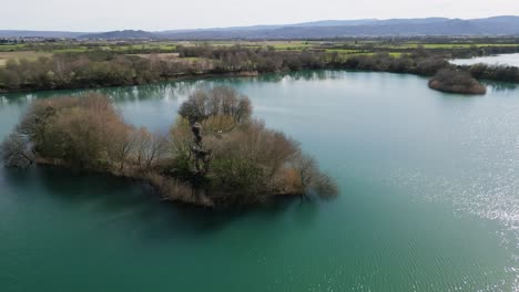 órbita-Aérea-Sobre-Nidos-De-Cigüeñas-En-El-Estanque-De-La-Isla-Reed-De-La-Antigua-Laguna-De-Antela-Areeiras-Da-Limia-En-Xinzo-De-Limia-Ourense-Galicia-España