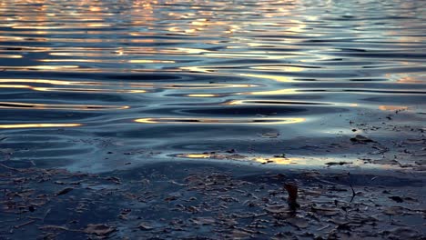 water ripples in slow motion