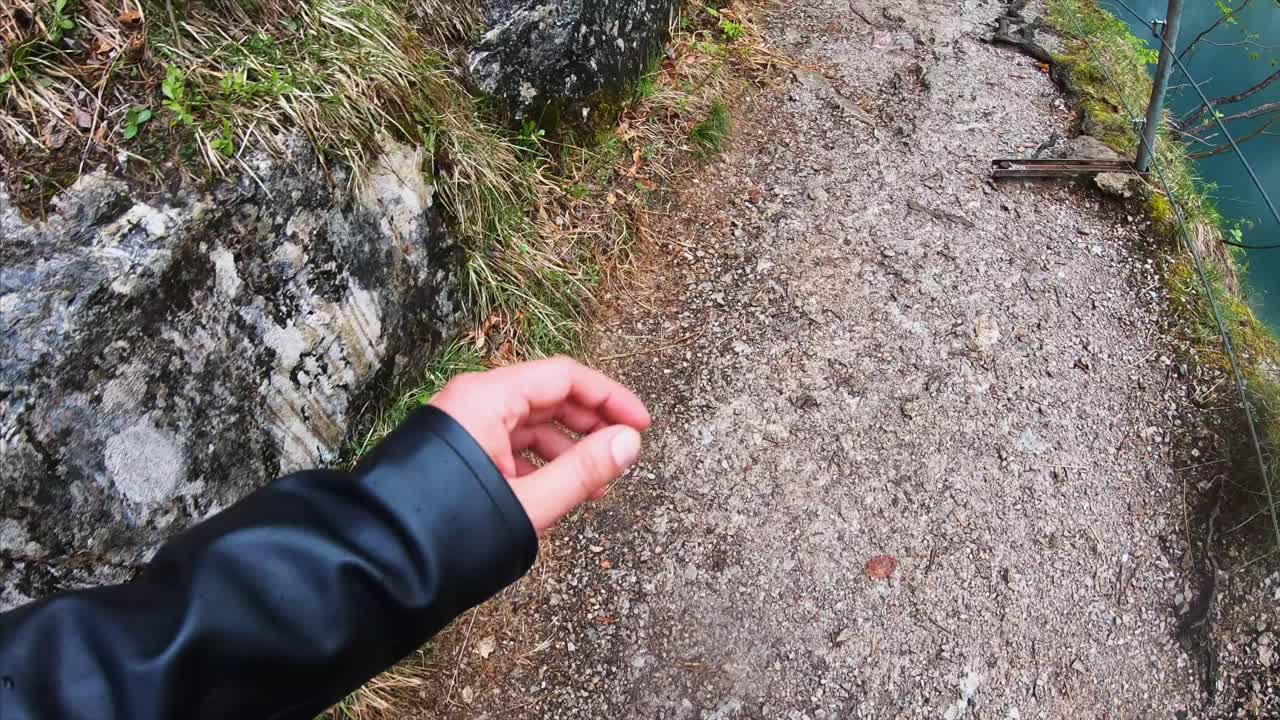 호수 근처 의 산책길