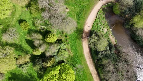 Luftaufnahme-Von-Oben-Nach-Unten,-Bunte-Bäume,-Virginia-Waters,-Surrey,-Großbritannien