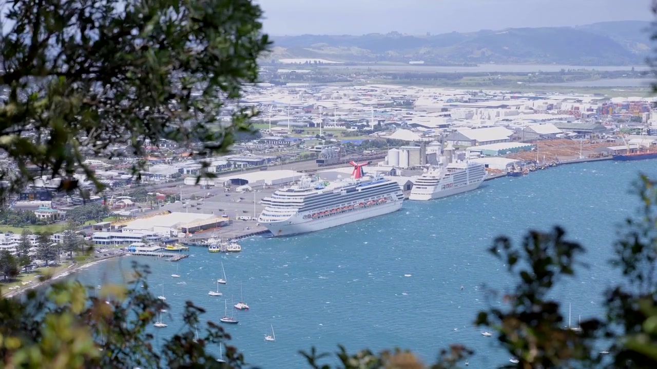 Udsigt fra toppen af bjerget Mauao. New Zealand - Tauranga. Krydstogtskibe i havn.