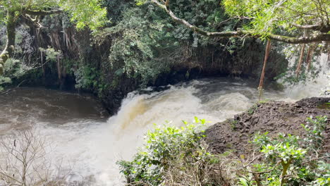 una vista estacionaria de la cascada de una jungla